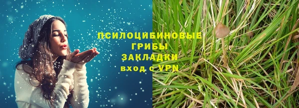 спиды Алексин