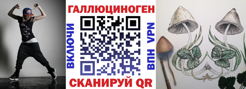 Галлюциногенные грибы Psilocybe  Кочубеевское 